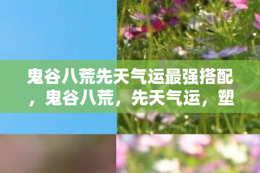 鬼谷八荒先天气运最强搭配,鬼谷八荒,先天气运,塑造你的传奇人生 鬼谷八荒先天气运最强搭配,鬼谷八荒,先天气运,塑造你的传奇人生