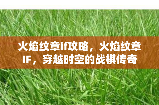 火焰纹章if攻略，火焰纹章IF，穿越时空的战棋传奇