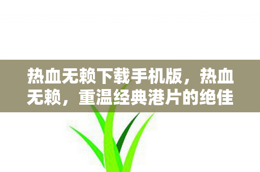 热血无赖下载手机版，热血无赖，重温经典港片的绝佳选择