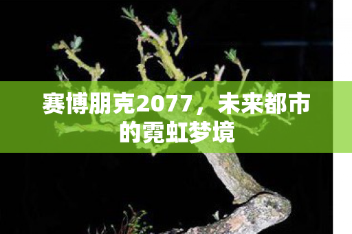 赛博朋克2077,未来都市的霓虹梦境 赛博朋克2077,未来都市的霓虹梦境