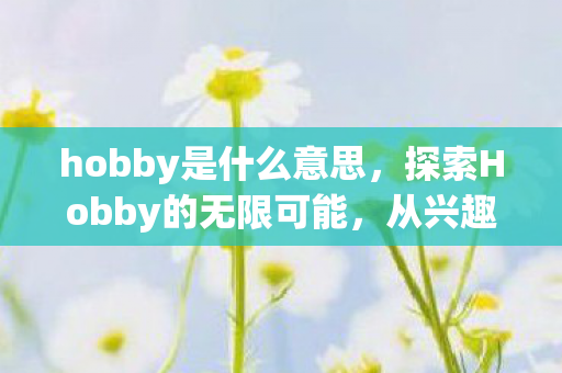 hobby是什么意思，探索Hobby的无限可能，从兴趣到职业的转变之路