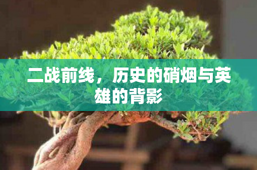 二战前线，历史的硝烟与英雄的背影