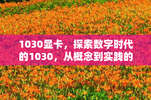 1030显卡，探索数字时代的1030，从概念到实践的跨越