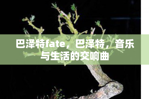 巴泽特fate，巴泽特，音乐与生活的交响曲