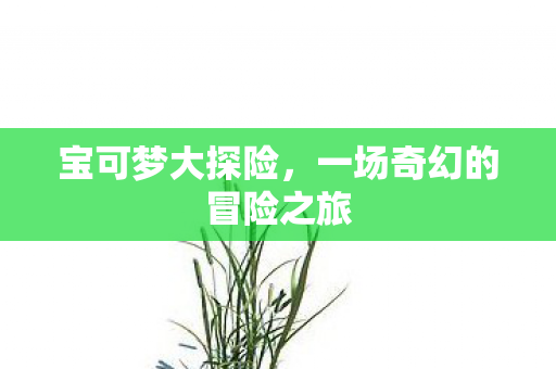 宝可梦大探险，一场奇幻的冒险之旅