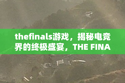 thefinals游戏，揭秘电竞界的终极盛宴，THE FINALS