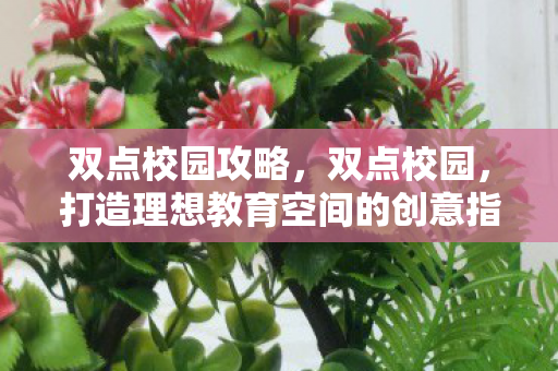 双点校园攻略,双点校园,打造理想教育空间的创意指南 双点校园攻略,双点校园,打造理想教育空间的创意指南