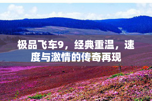 极品飞车9,经典重温,速度与激情的传奇再现 极品飞车9,经典重温,速度与激情的传奇再现