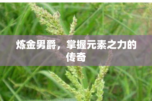 炼金男爵，掌握元素之力的传奇