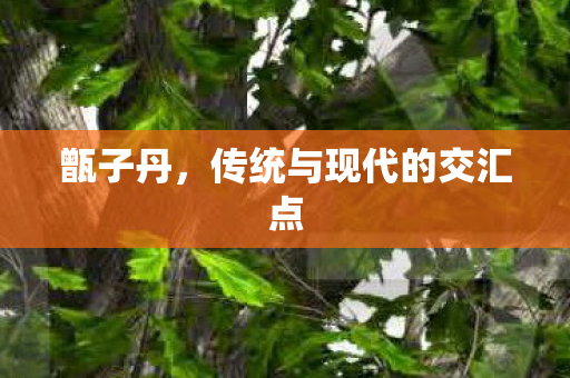 甑子丹，传统与现代的交汇点