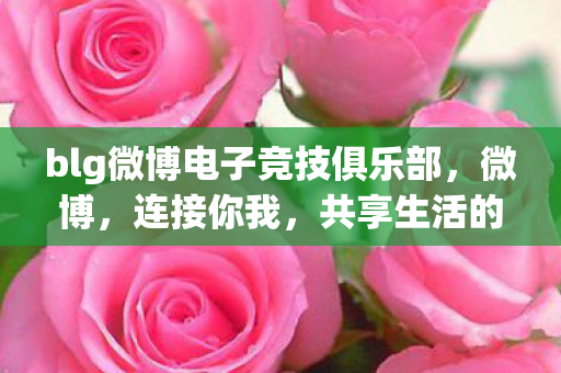 blg微博电子竞技俱乐部，微博，连接你我，共享生活的桥梁