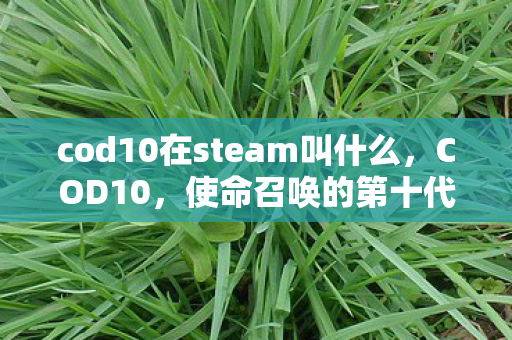 cod10在steam叫什么，COD10，使命召唤的第十代传奇