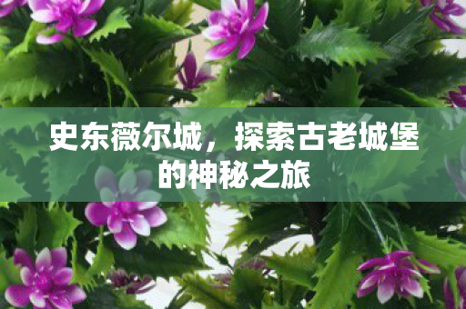 史东薇尔城，探索古老城堡的神秘之旅