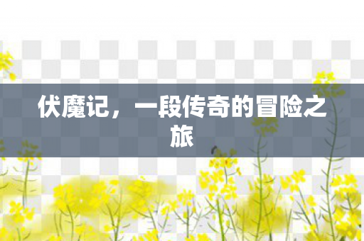 伏魔记，一段传奇的冒险之旅