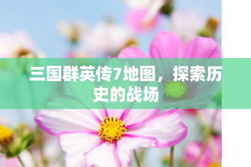 三国群英传7地图，探索历史的战场