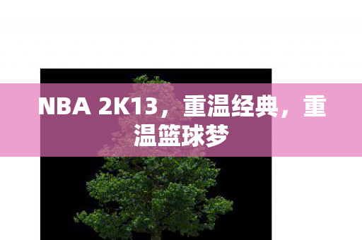 NBA 2K13图片