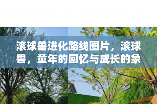 滚球兽进化路线图片，滚球兽，童年的回忆与成长的象征