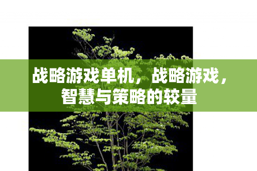战略游戏单机，战略游戏，智慧与策略的较量