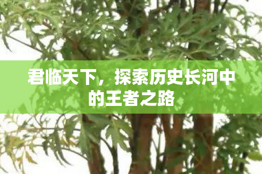 君临天下，探索历史长河中的王者之路