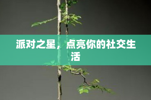派对之星，点亮你的社交生活