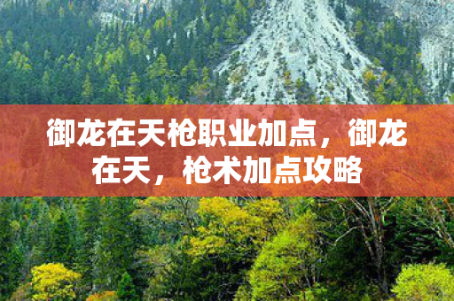 御龙在天枪职业加点，御龙在天，枪术加点攻略