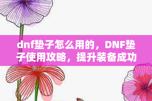 dnf垫子怎么用的，DNF垫子使用攻略，提升装备成功率的神秘宝物