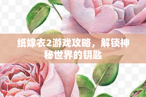 纸嫁衣2游戏攻略，解锁神秘世界的钥匙