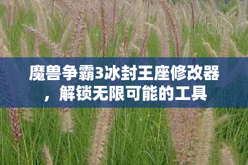 魔兽争霸3冰封王座修改器，解锁无限可能的工具