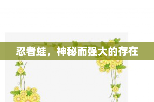 忍者蛙，神秘而强大的存在