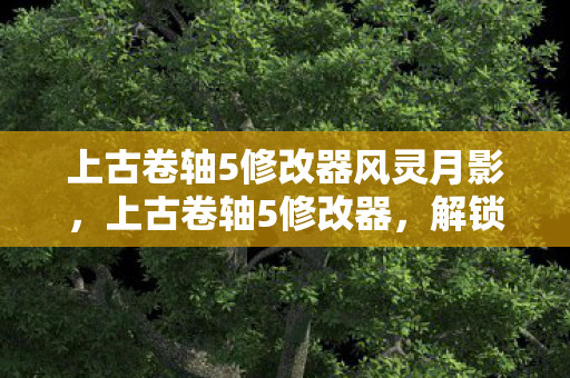 上古卷轴5修改器风灵月影，上古卷轴5修改器，解锁无限可能的冒险之旅