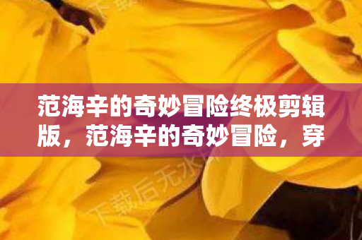 范海辛的奇妙冒险终极剪辑版，范海辛的奇妙冒险，穿越时空的猎魔之旅