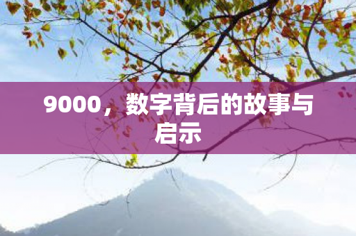 9000，数字背后的故事与启示