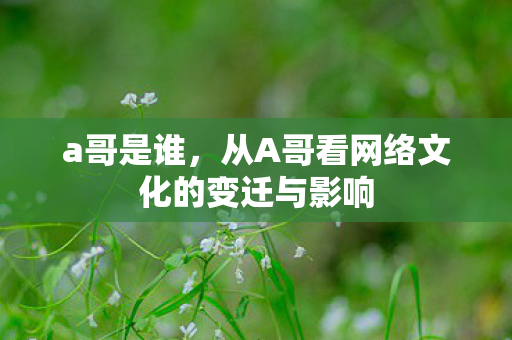 a哥是谁，从A哥看网络文化的变迁与影响