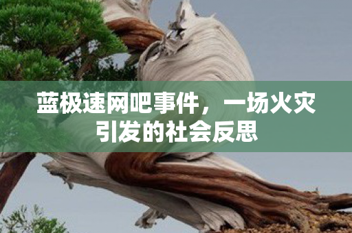 蓝极速网吧事件，一场火灾引发的社会反思