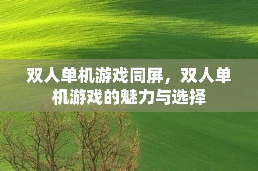 双人单机游戏同屏，双人单机游戏的魅力与选择