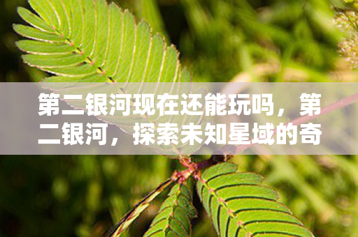 第二银河现在还能玩吗，第二银河，探索未知星域的奇幻之旅