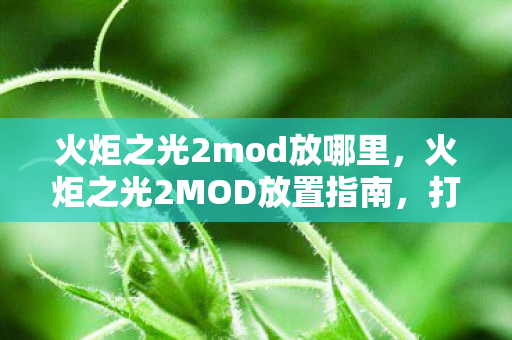 火炬之光2MOD放置指南图片