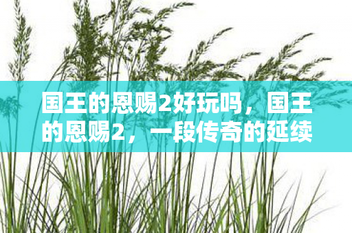 国王的恩赐2好玩吗，国王的恩赐2，一段传奇的延续