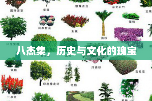 八杰集，历史与文化的瑰宝