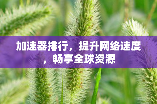 加速器排行，提升网络速度，畅享全球资源