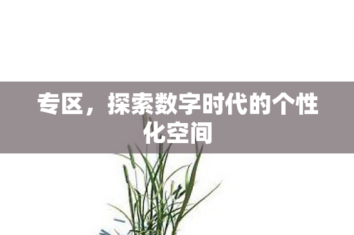 专区，探索数字时代的个性化空间
