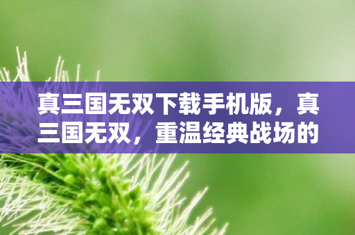 真三国无双下载手机版，真三国无双，重温经典战场的热血之旅