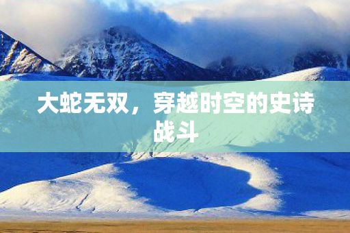 大蛇无双，穿越时空的史诗战斗