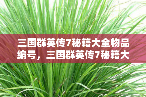 三国群英传7秘籍大全物品编号，三国群英传7秘籍大全，解锁无限可能