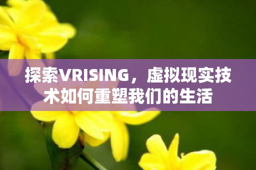 探索VRISING，虚拟现实技术如何重塑我们的生活
