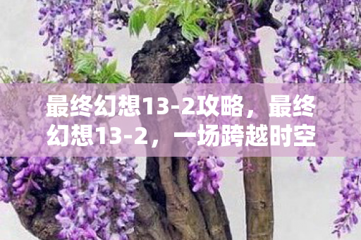 最终幻想13-2攻略，最终幻想13-2，一场跨越时空的冒险之旅