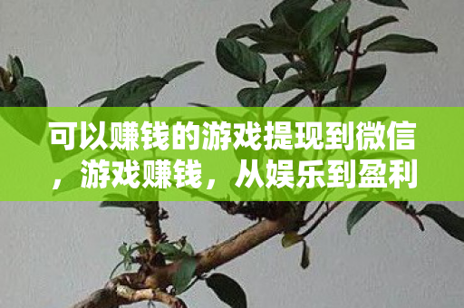 可以赚钱的游戏提现到微信，游戏赚钱，从娱乐到盈利的奇妙旅程