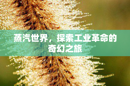 蒸汽世界，探索工业革命的奇幻之旅