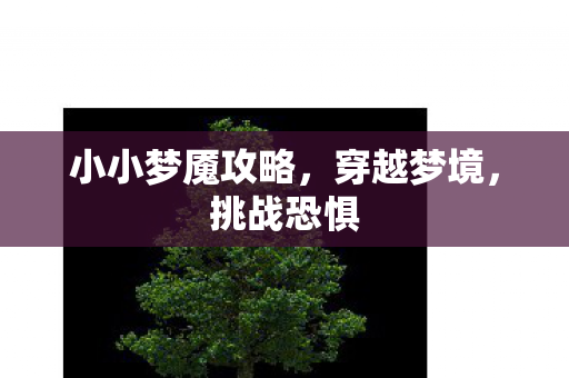 小小梦魇攻略，穿越梦境，挑战恐惧