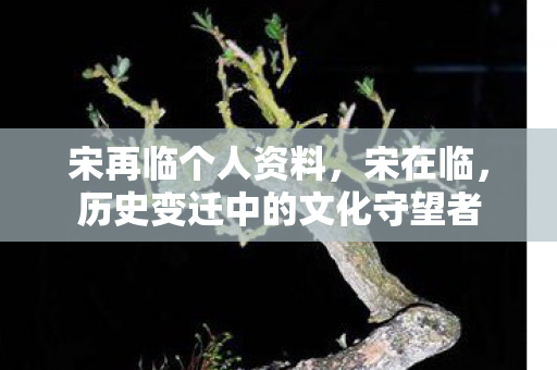 宋再临个人资料，宋在临，历史变迁中的文化守望者